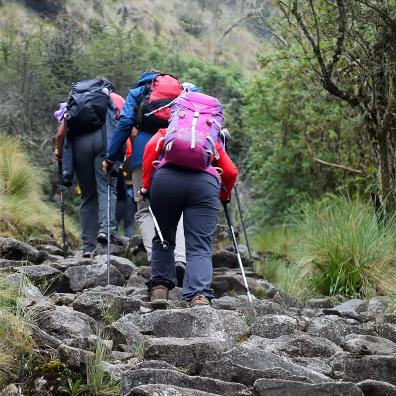 inca-trail-t