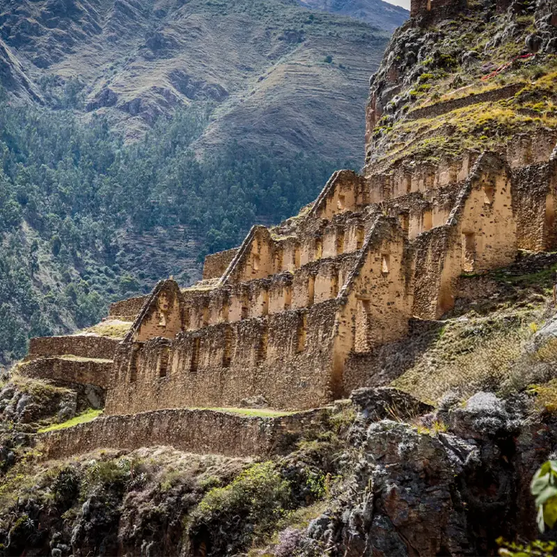 ollantaytambo-t
